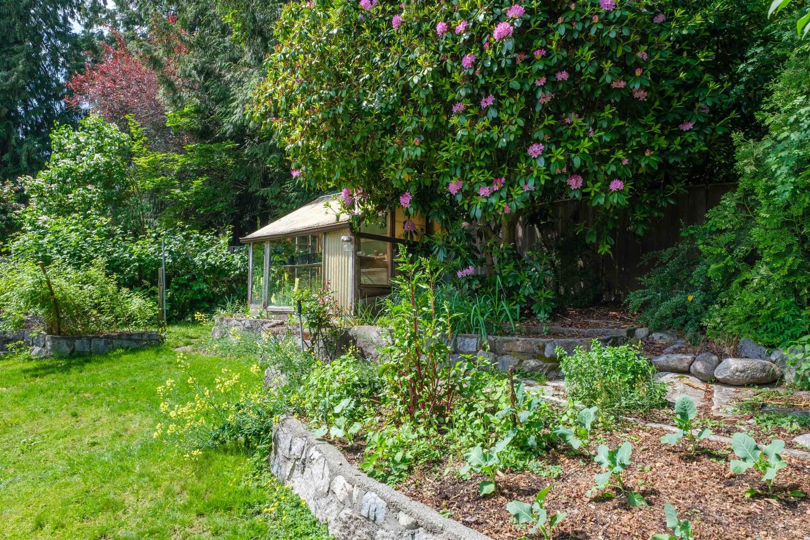 Listing Image 14