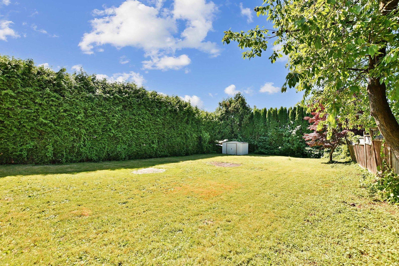 Listing Image 29