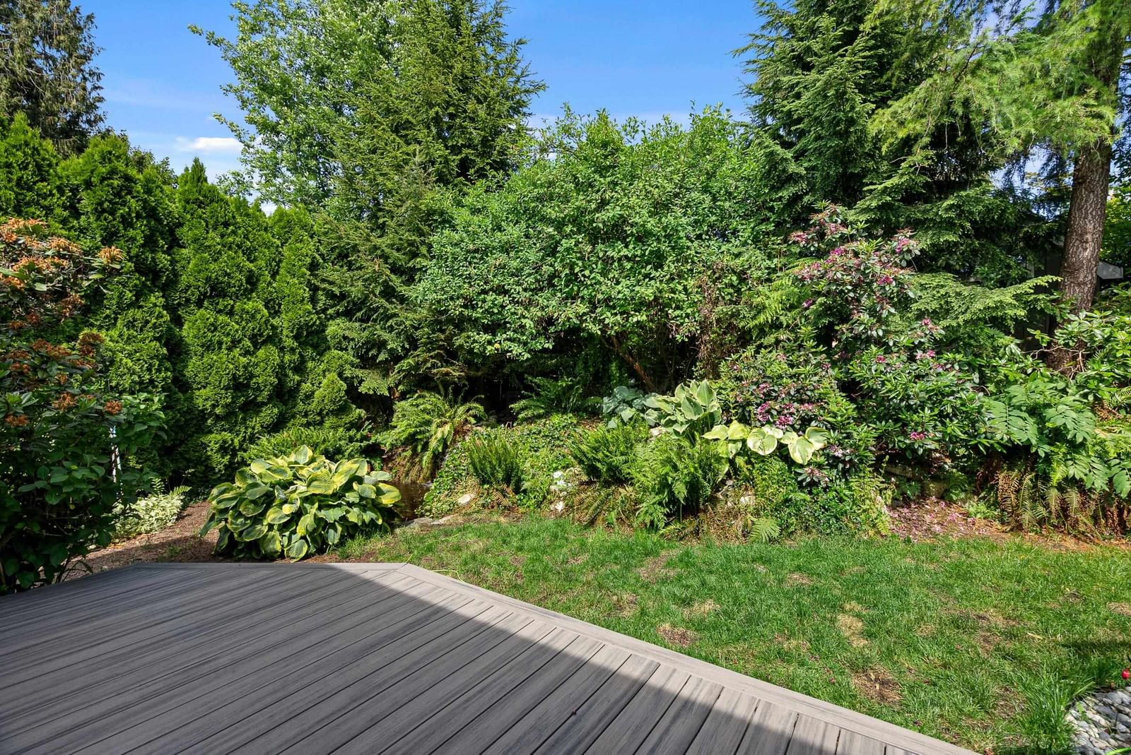 Listing Image 33