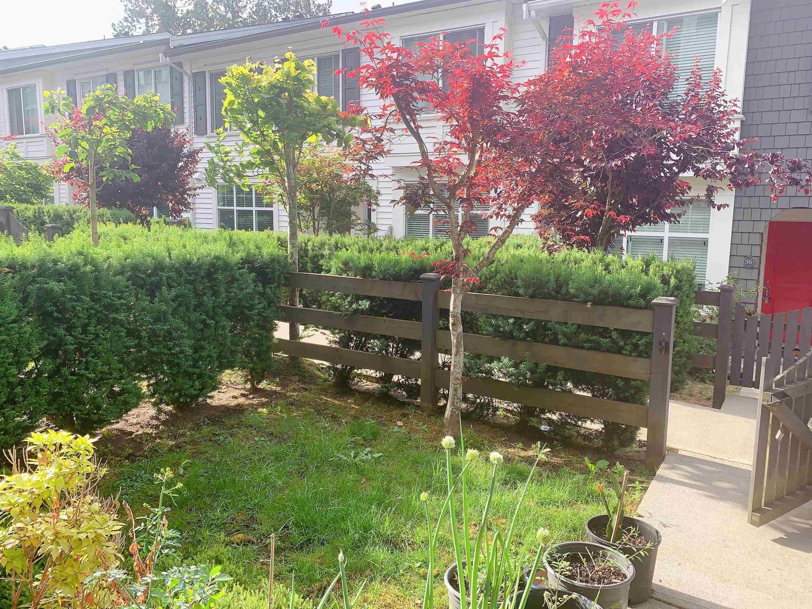 Listing Image 10