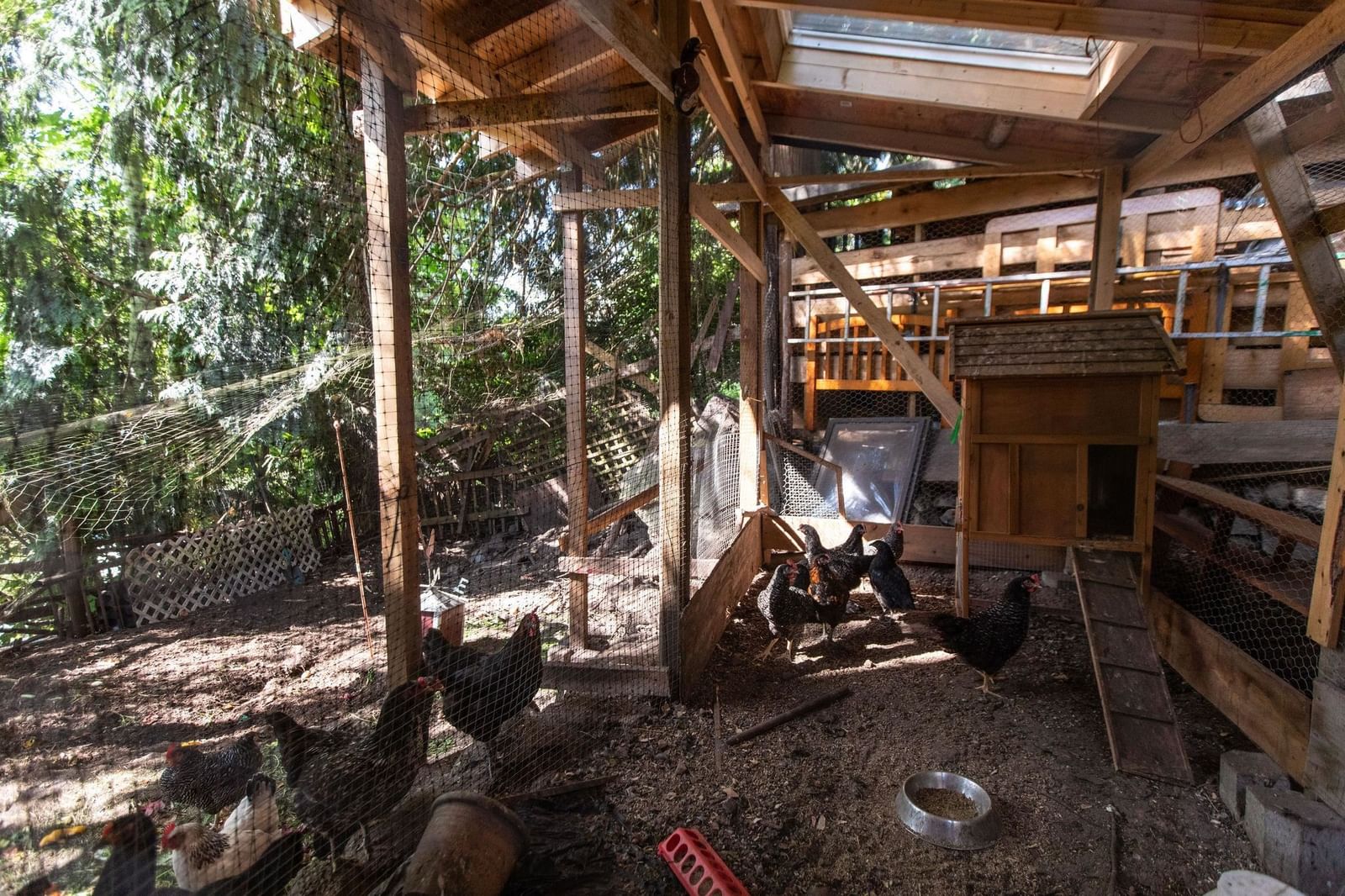 Listing Image 11