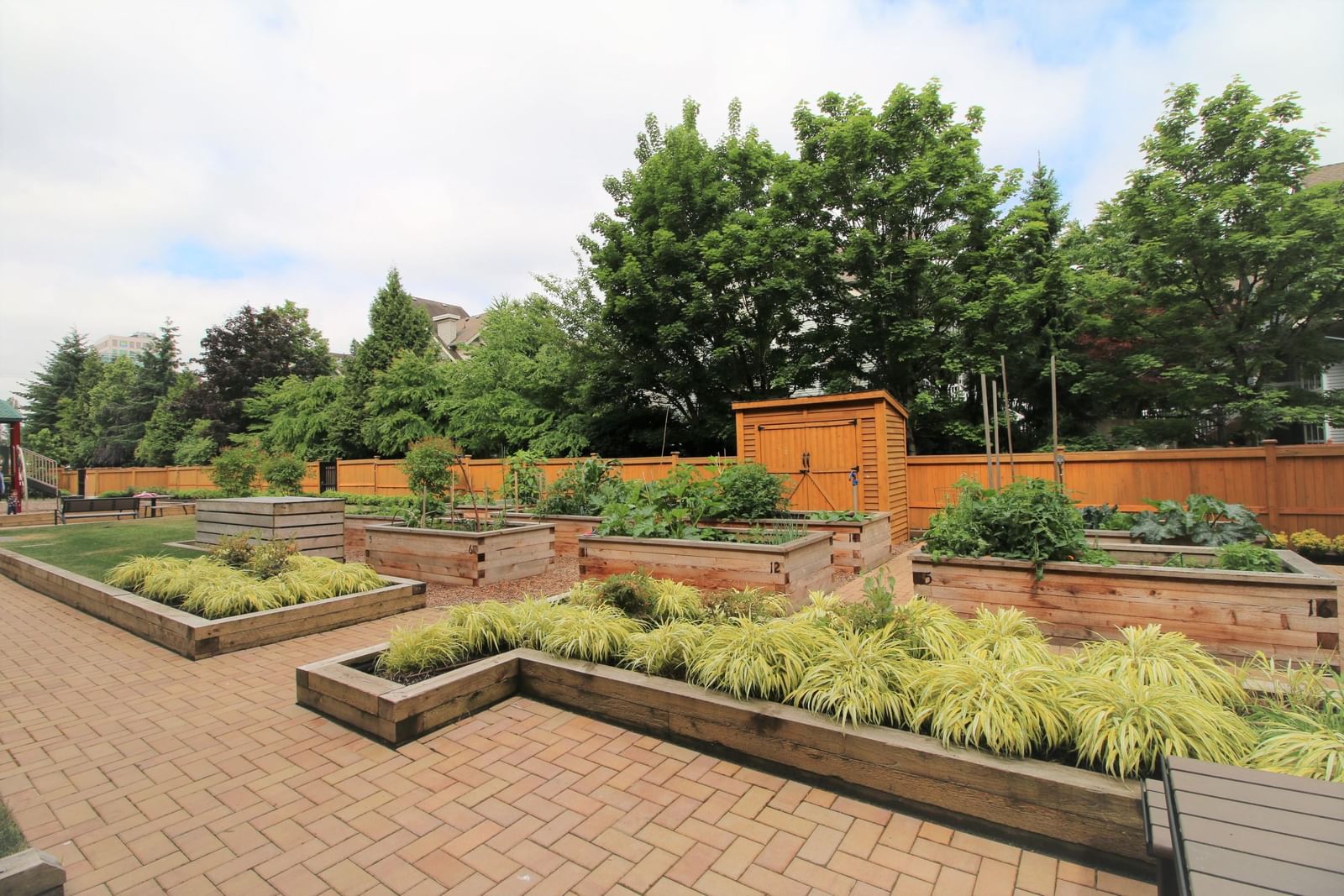 Listing Image 13