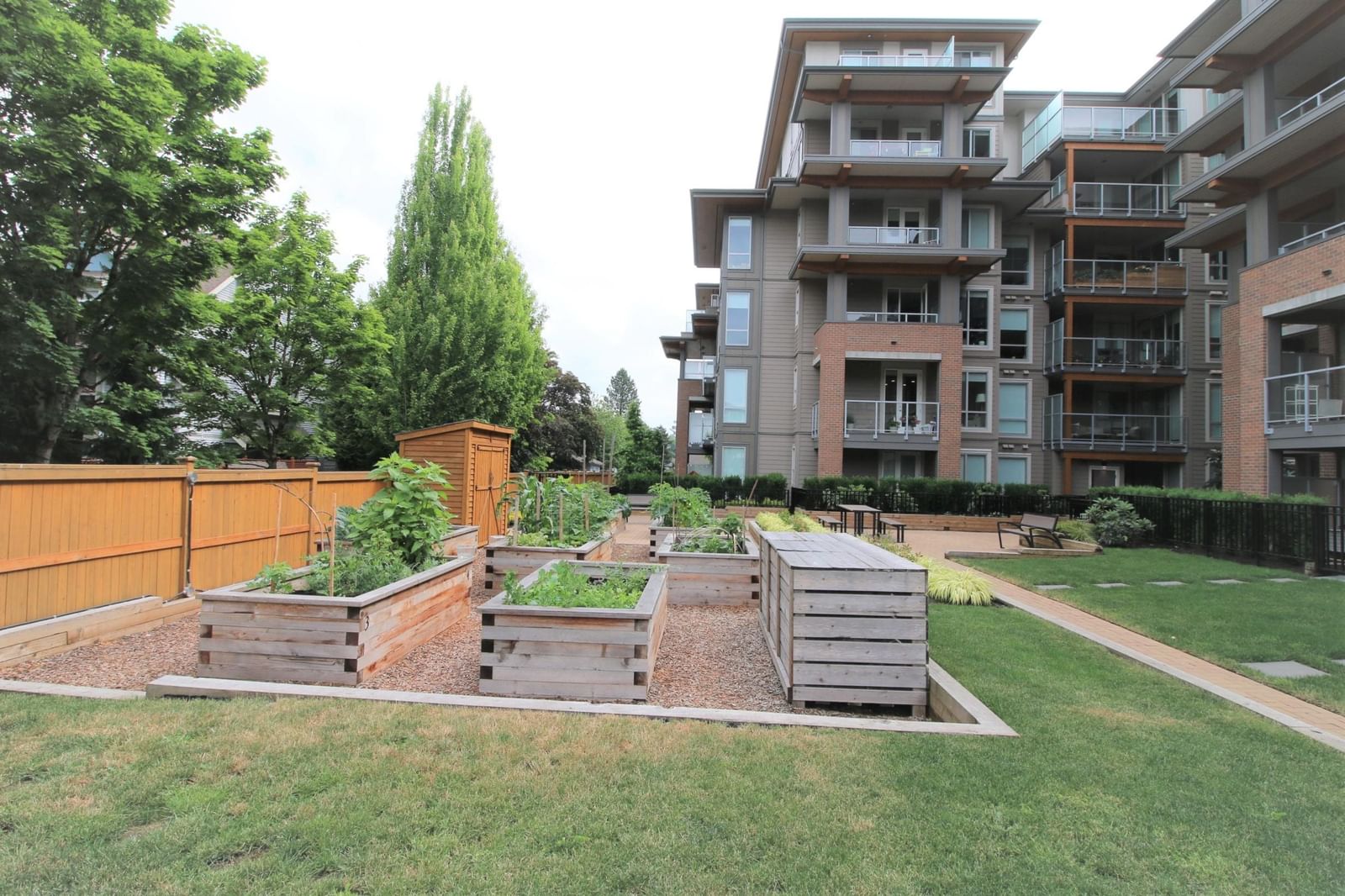 Listing Image 14
