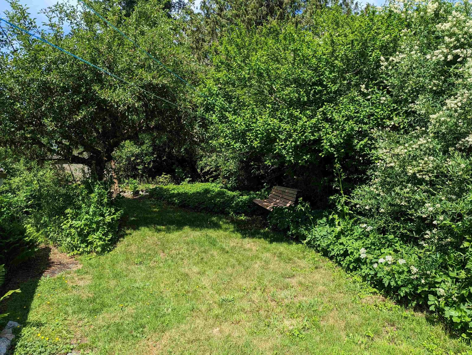Listing Image 18