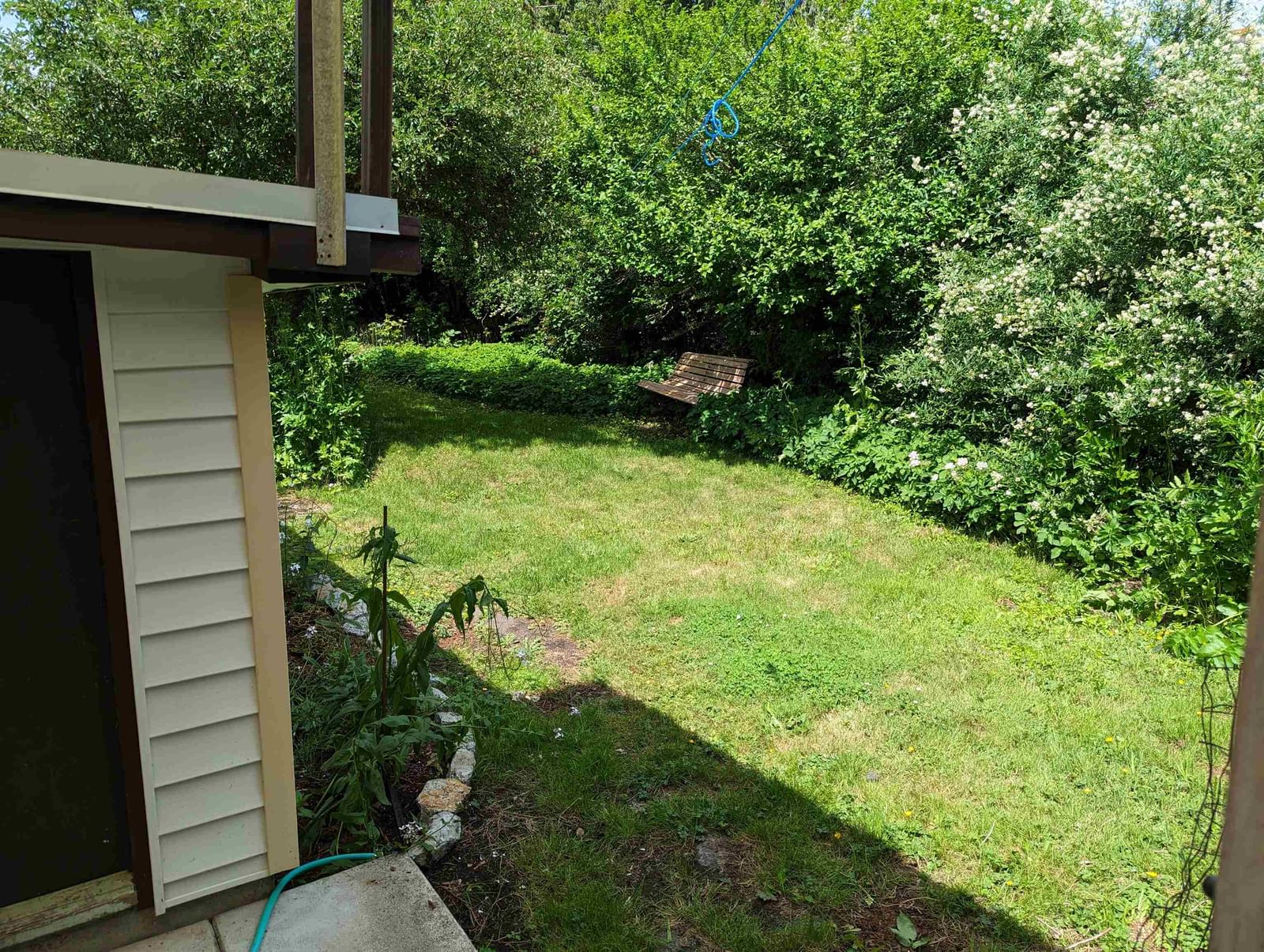 Listing Image 19
