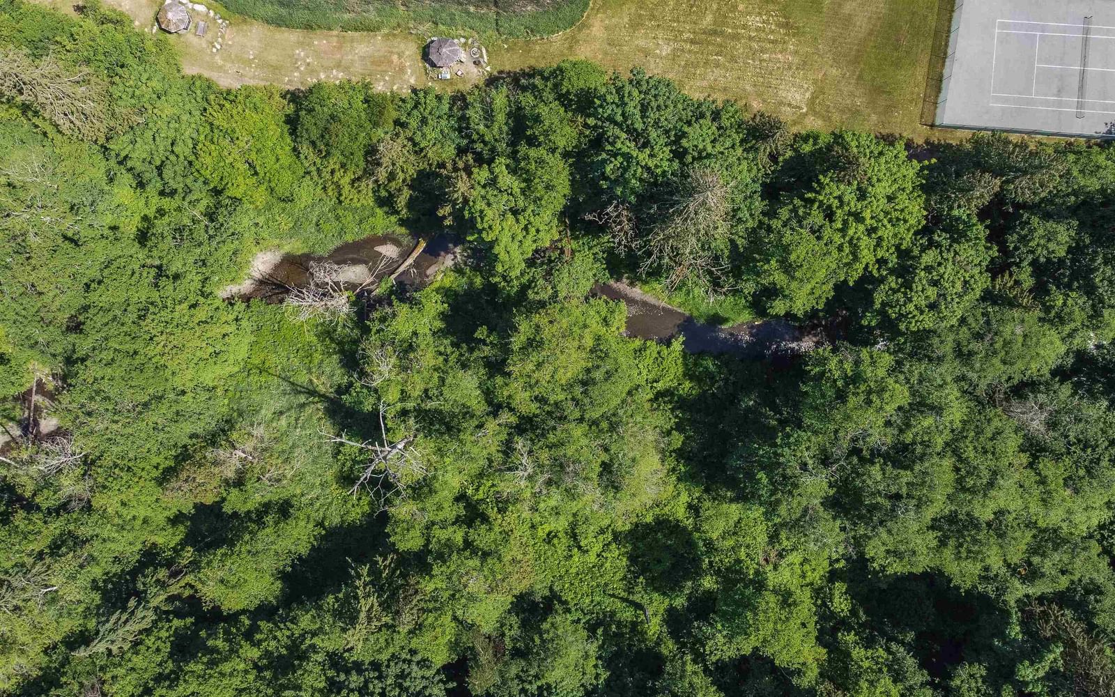 Listing Image 39