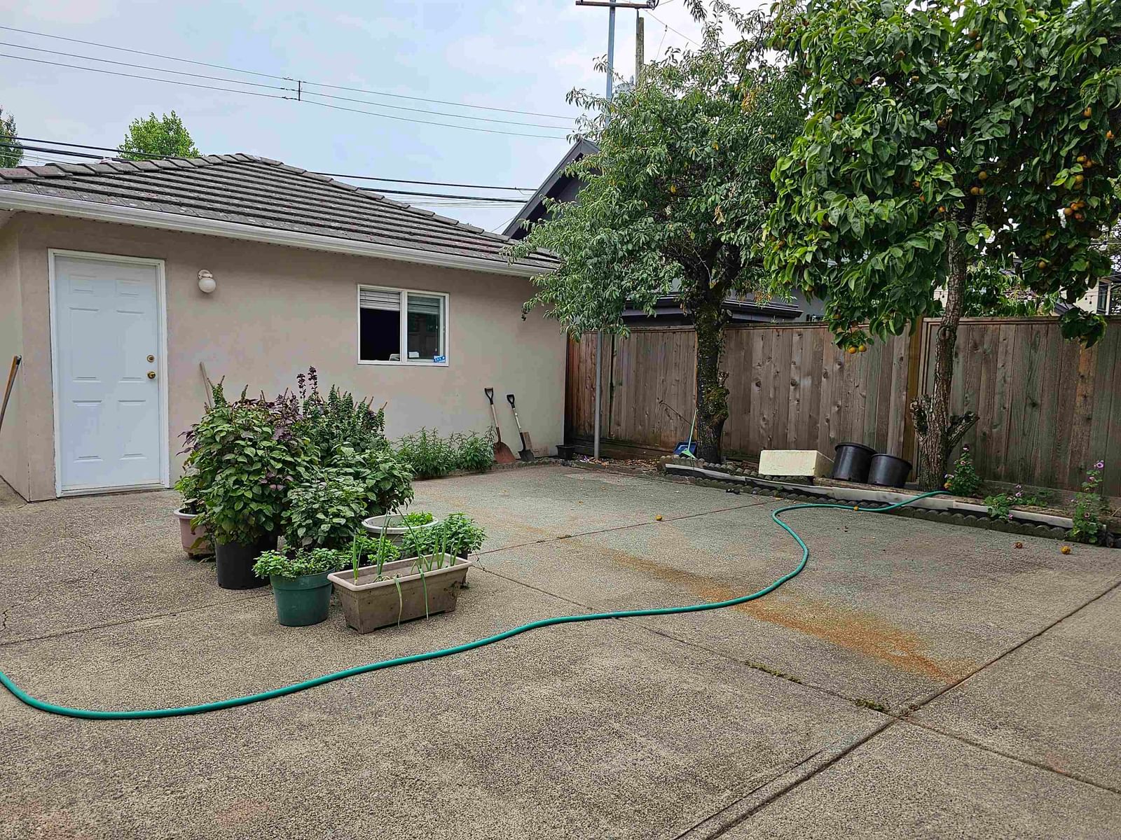 Listing Image 22