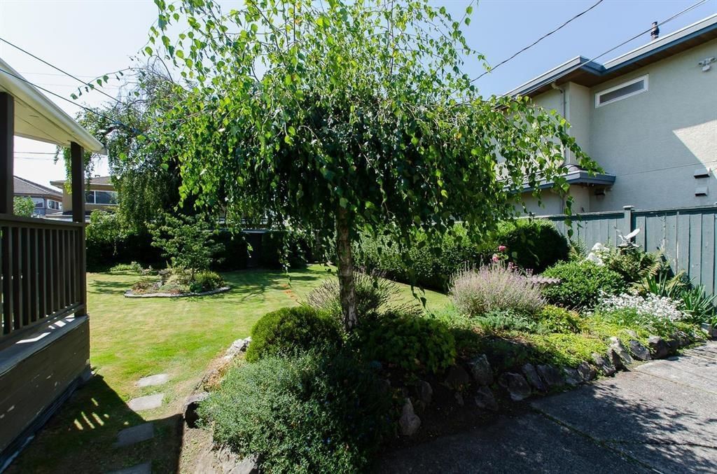 Listing Image 16