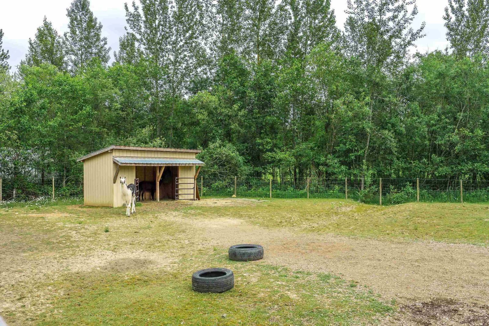 Listing Image 38