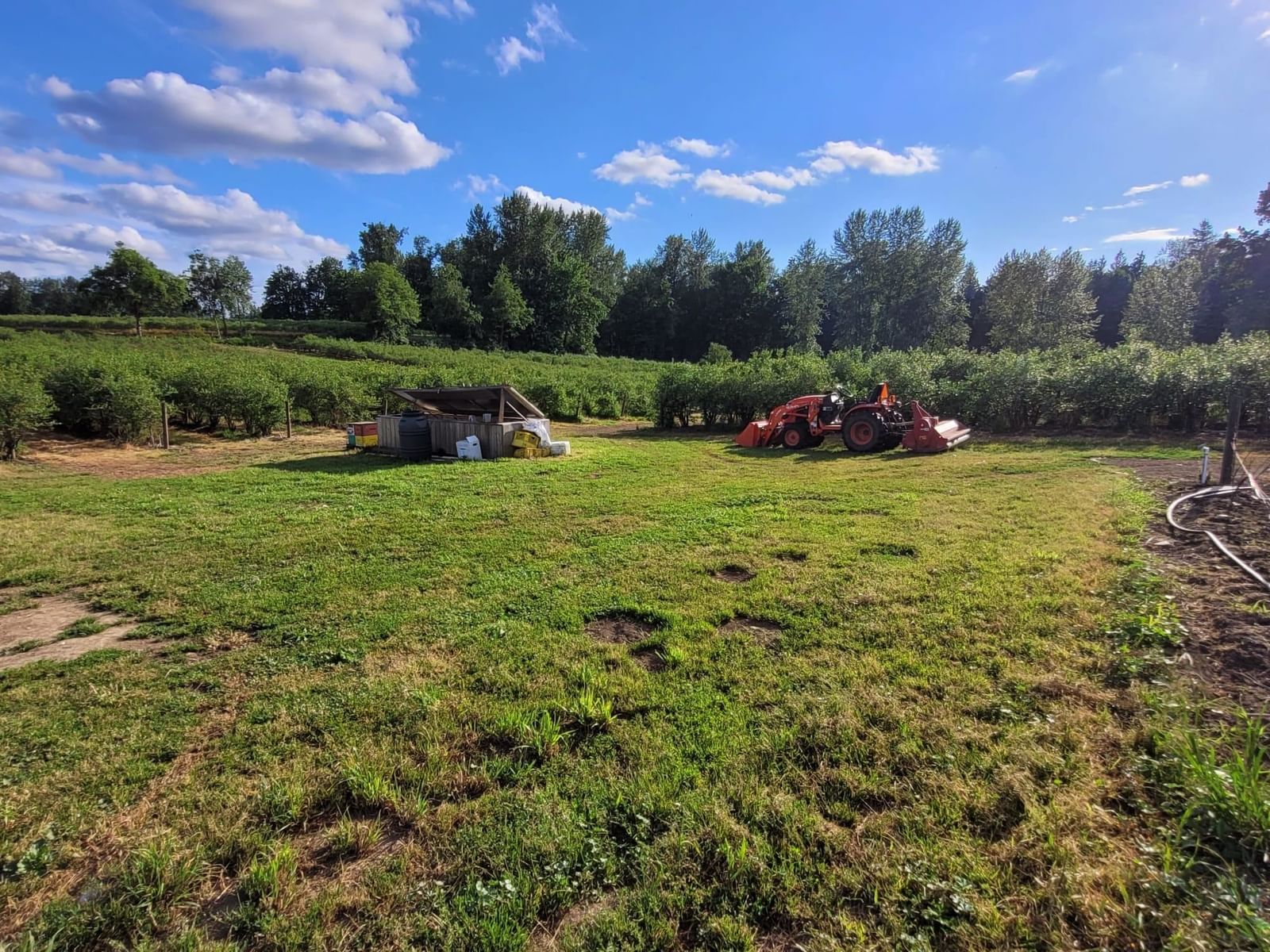 Listing Image 13