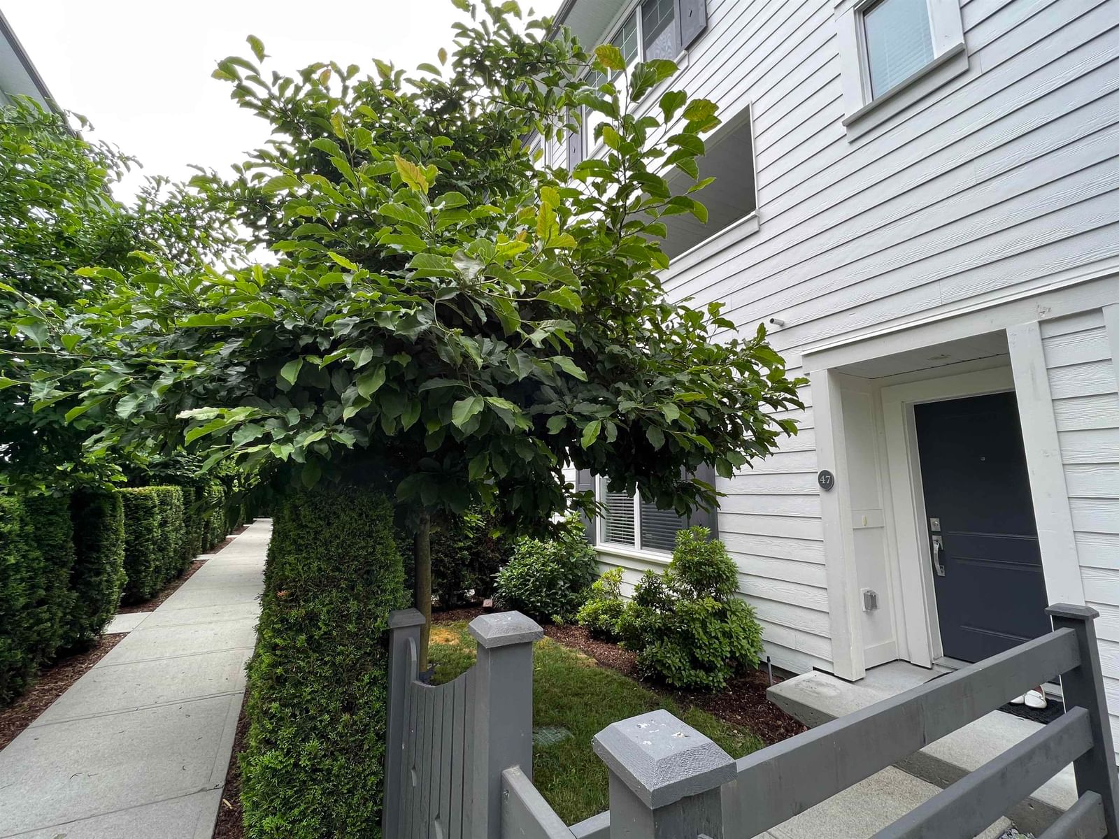 Listing Image 37