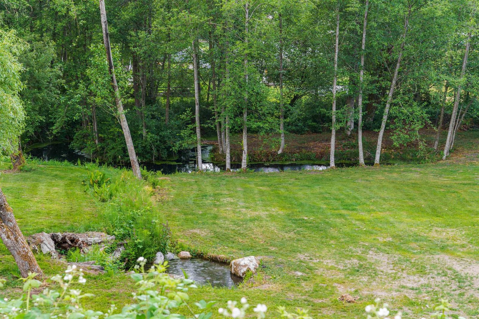 Listing Image 25