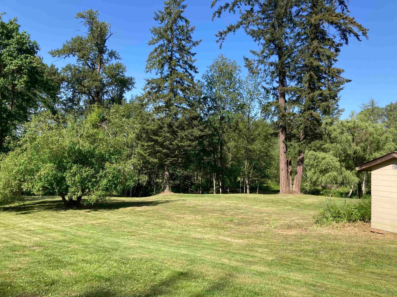 Listing Image 29