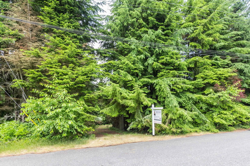 5319 234 Street, Langley, V2Z 2P6 | Image 3