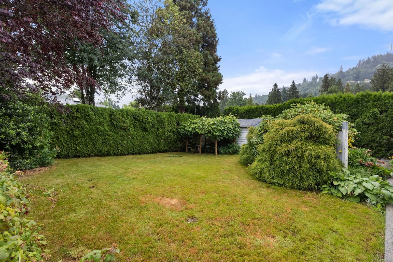 Listing Image 32