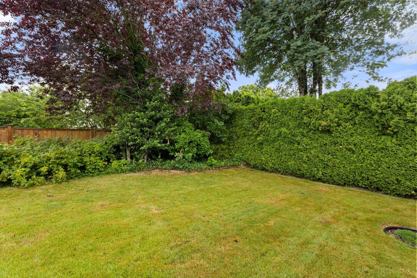 Listing Image 38