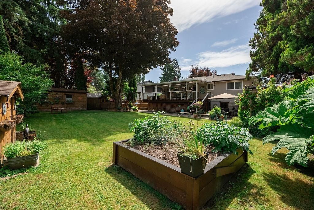 Listing Image 31