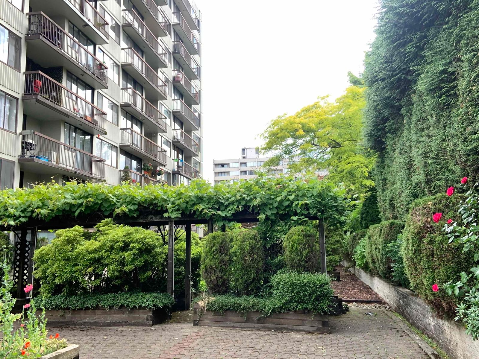 Listing Image 10