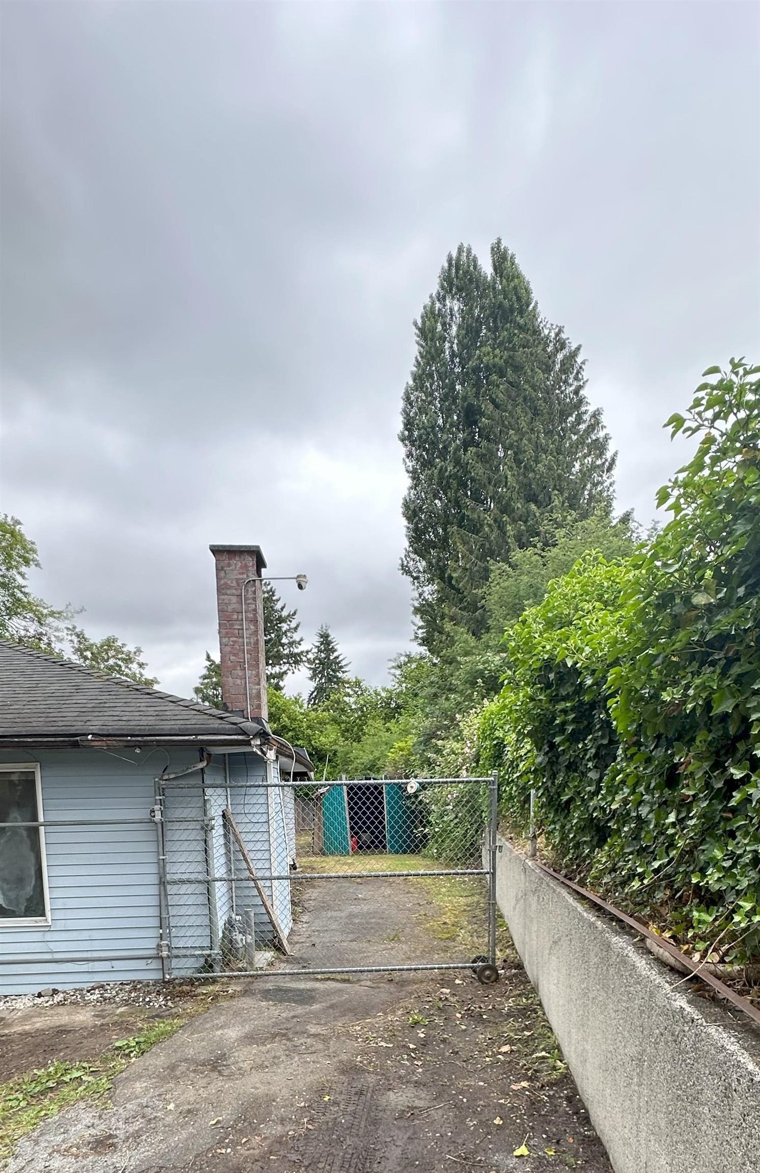 Listing Image 30