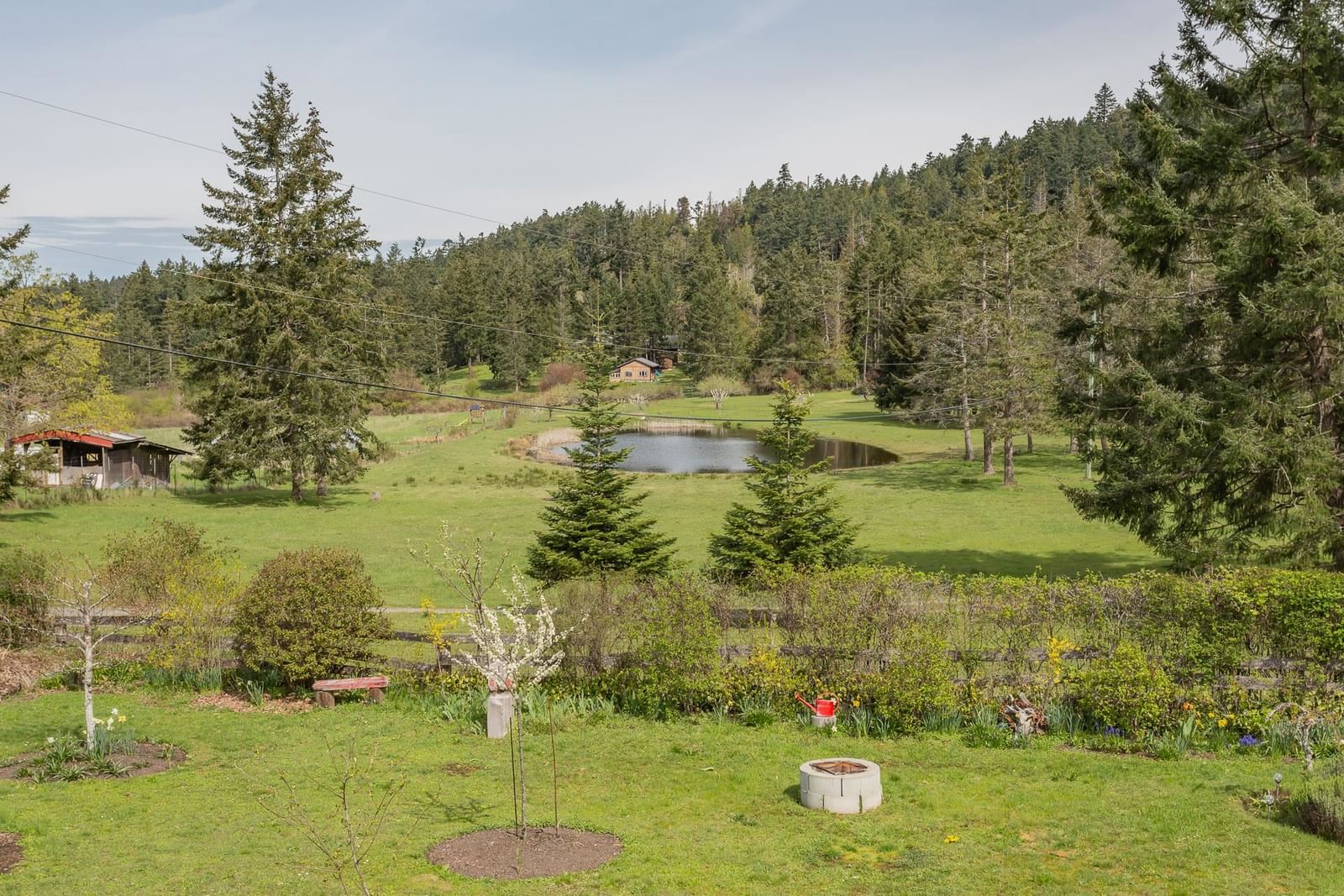 Listing Image 9