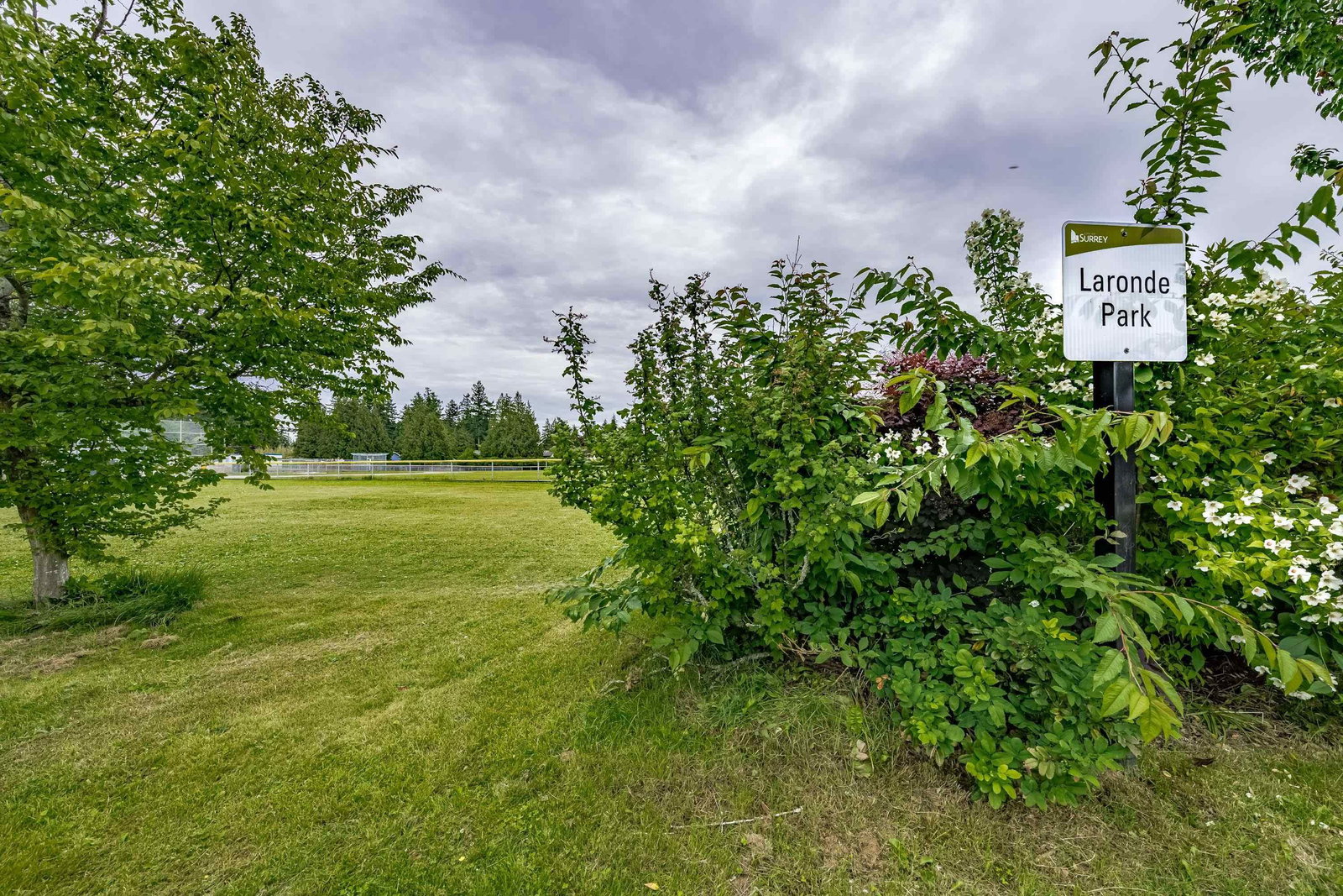 Listing Image 40