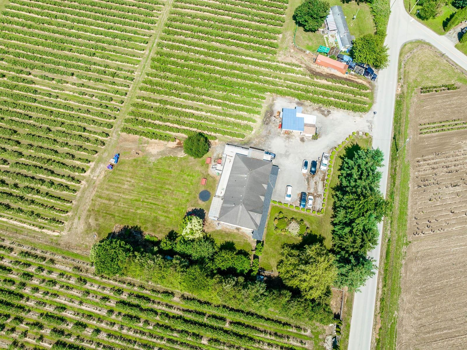 Listing Image 6
