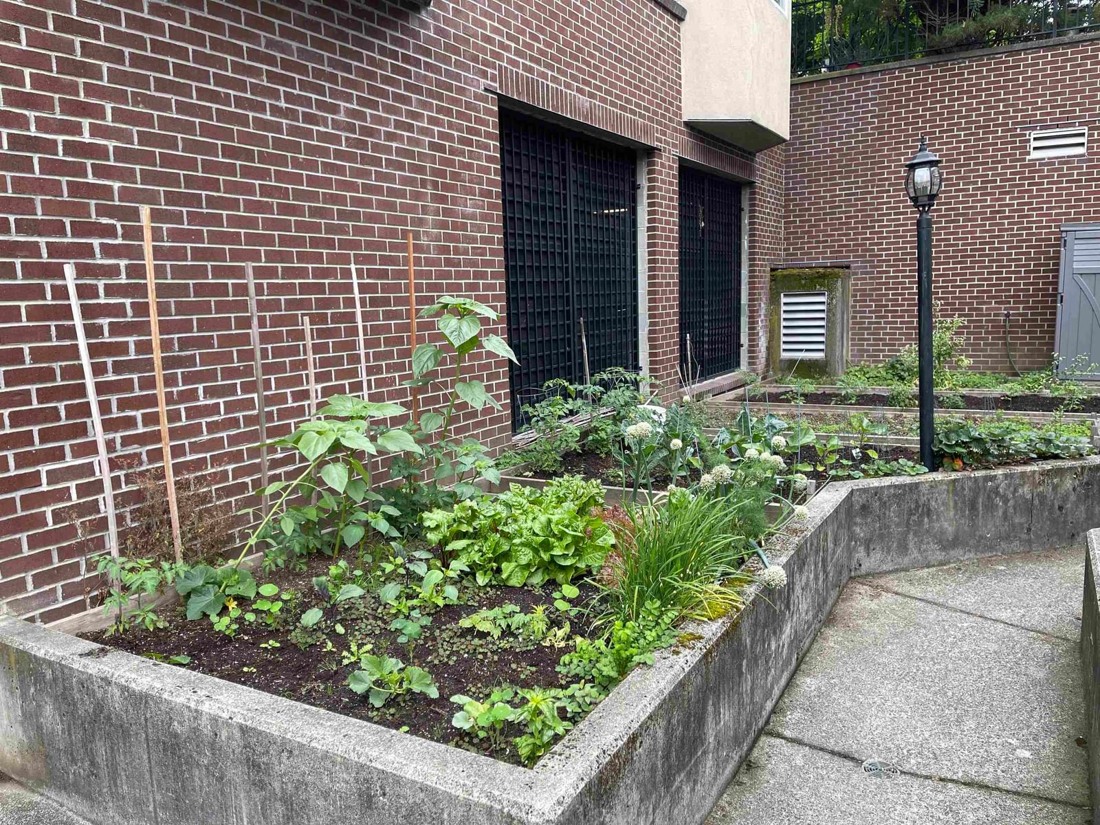 Listing Image 22