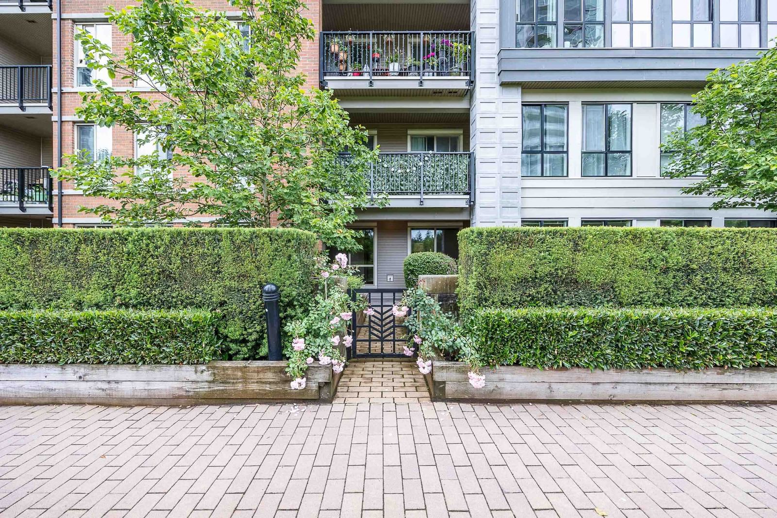 Listing Image 19