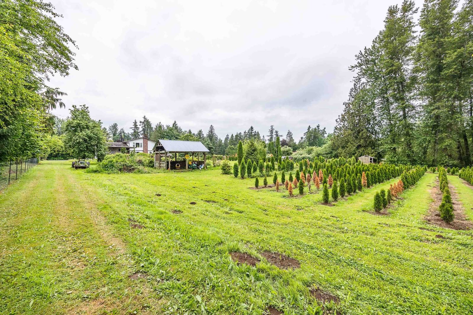 Listing Image 16