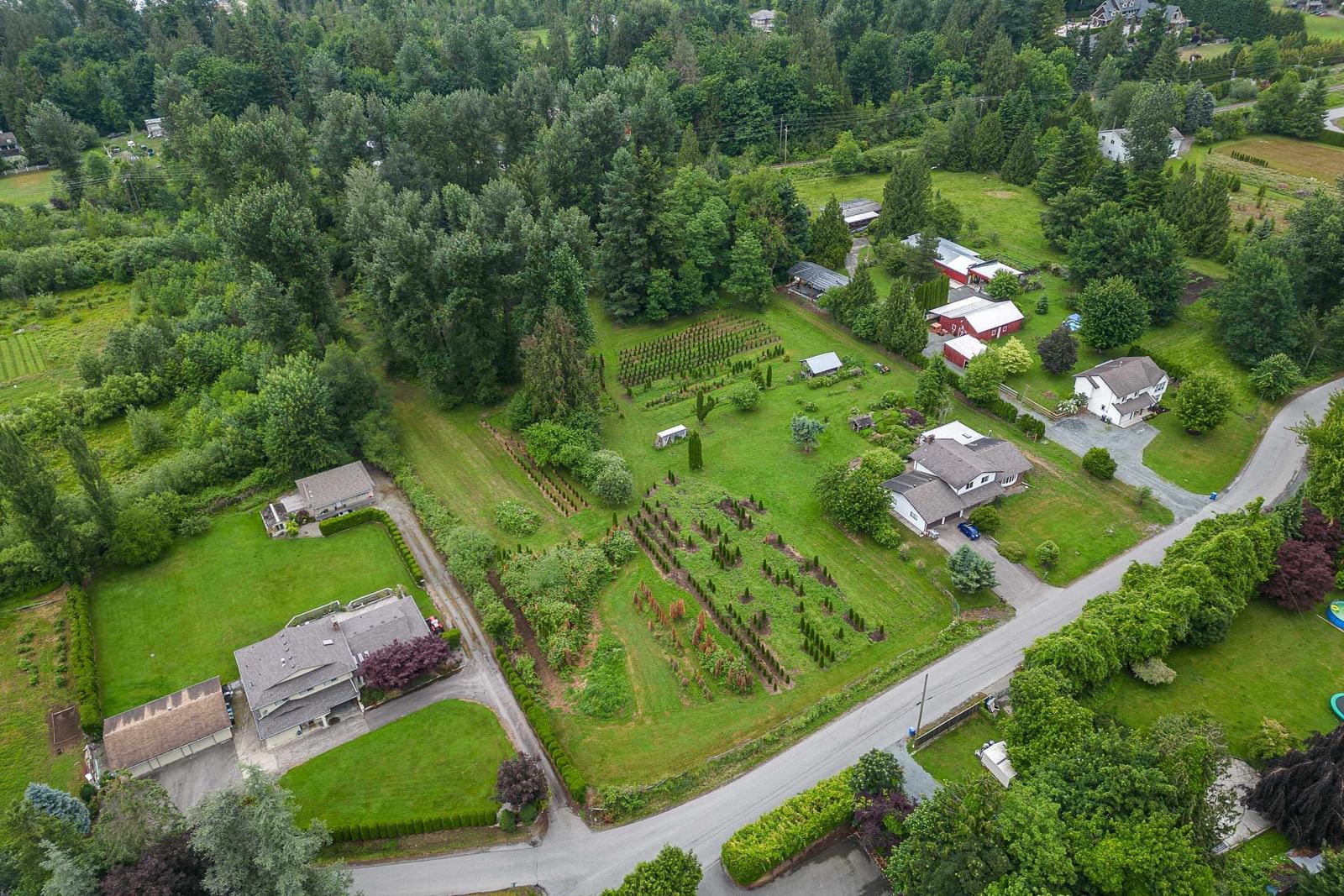 Listing Image 4