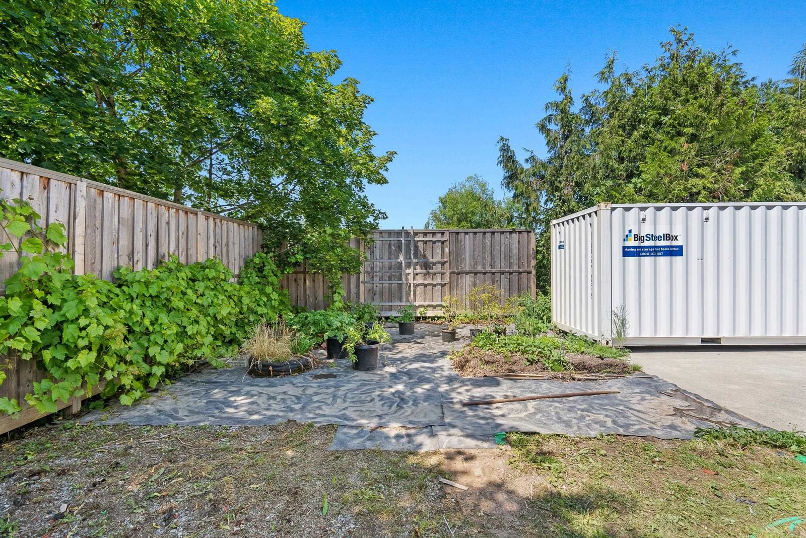 Listing Image 32