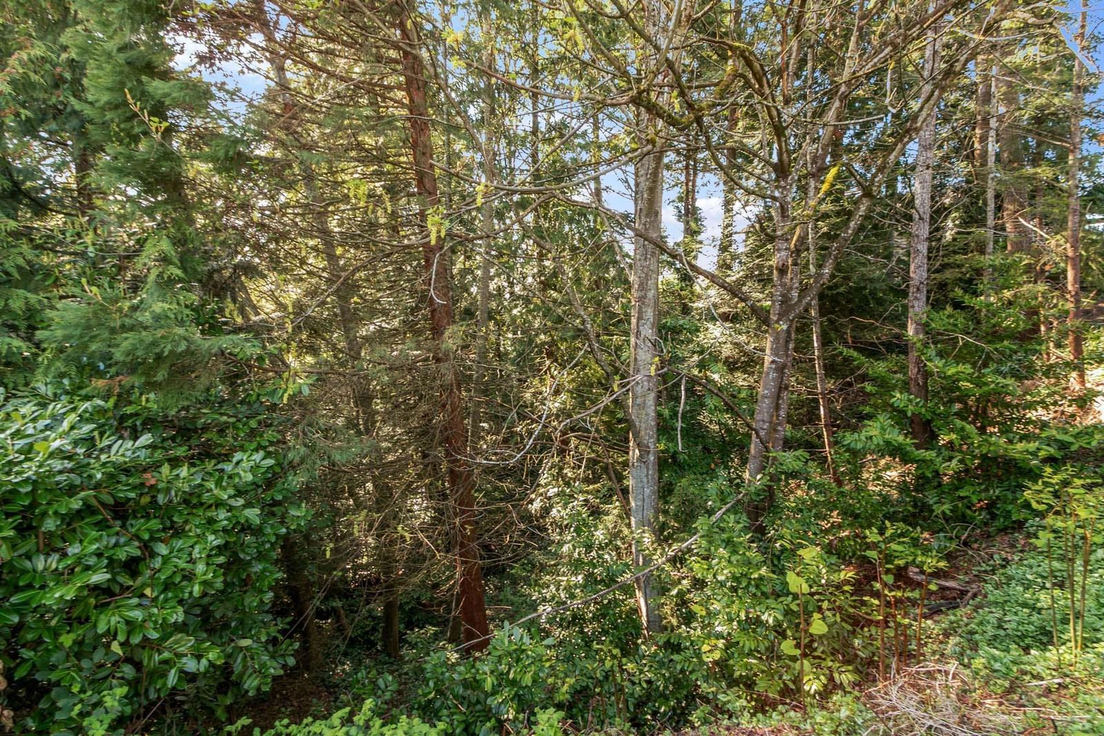 Listing Image 39