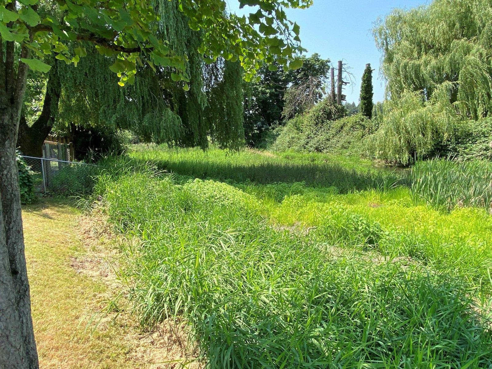 Listing Image 17