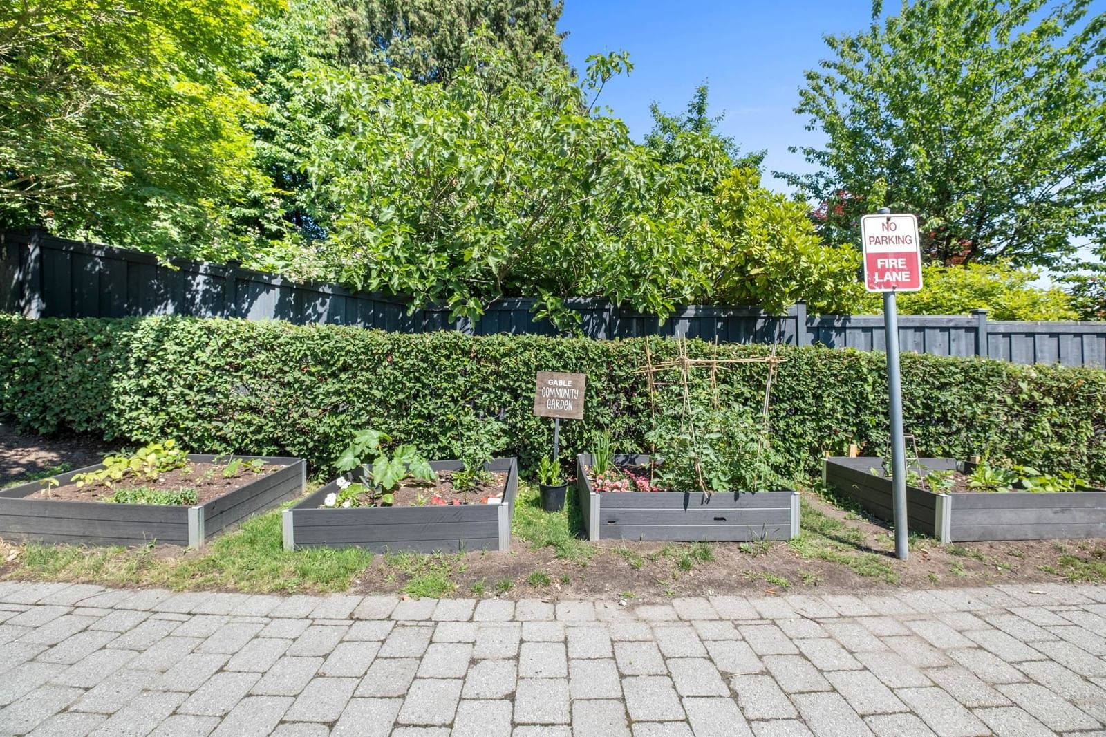 Listing Image 21