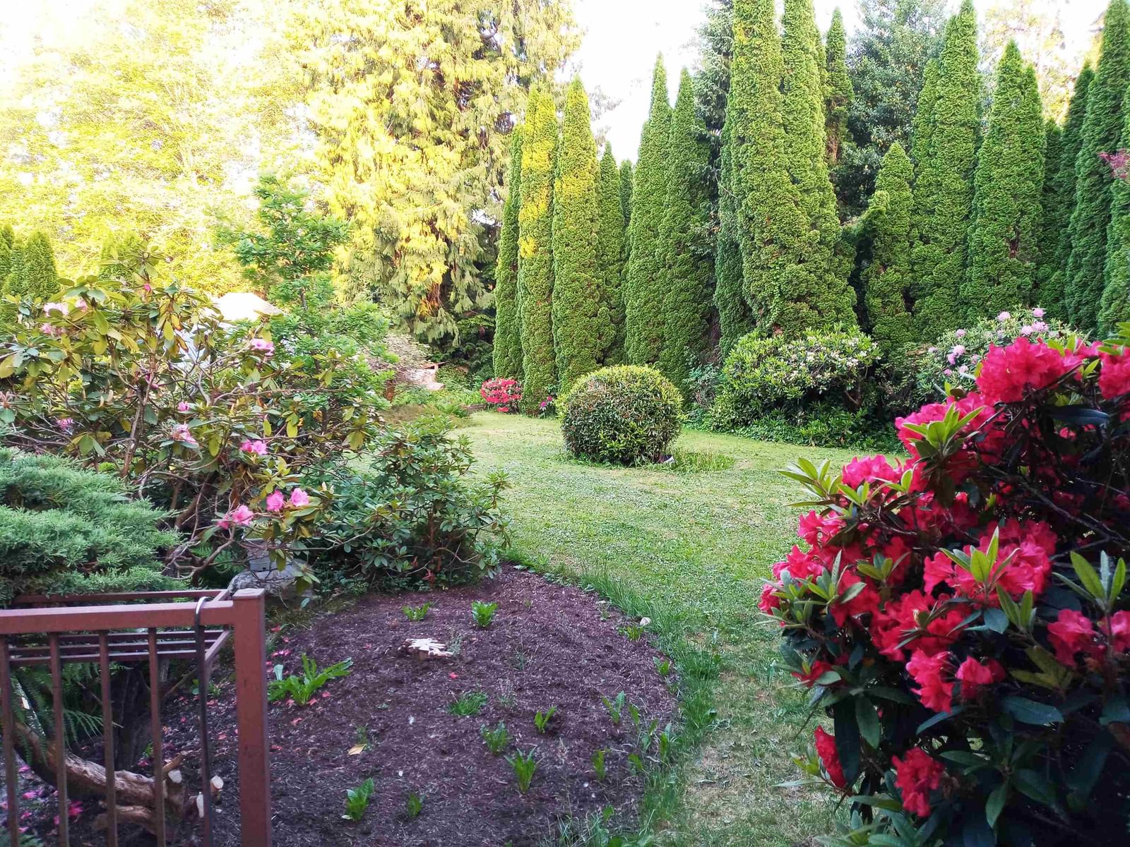 Listing Image 35