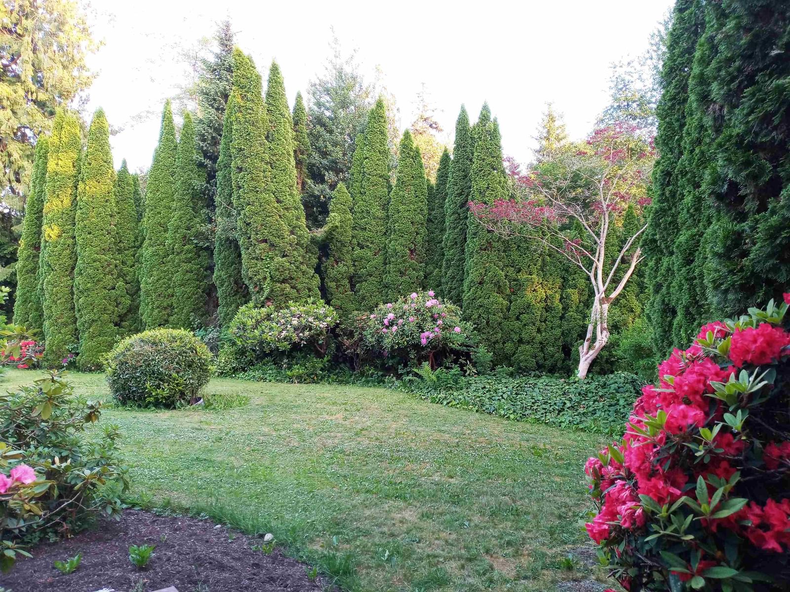 Listing Image 39