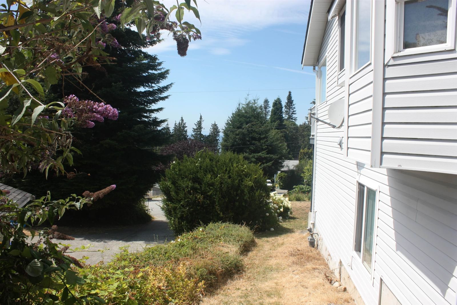 Listing Image 26
