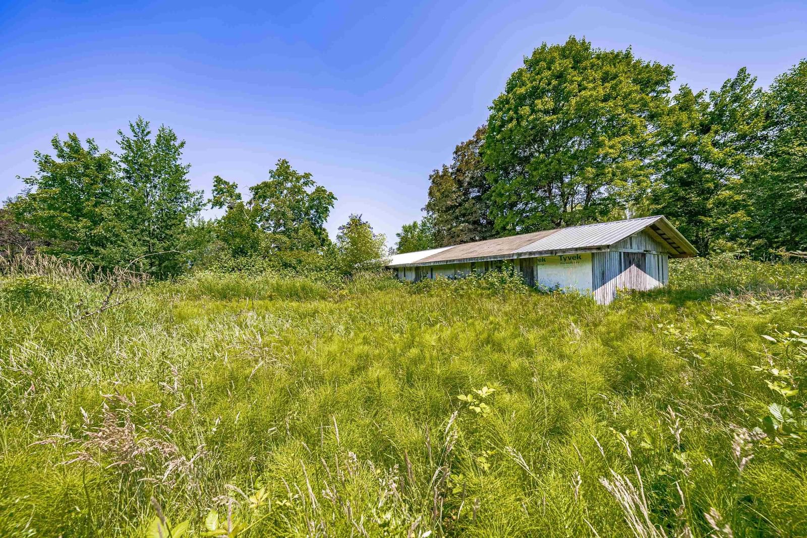 Listing Image 8