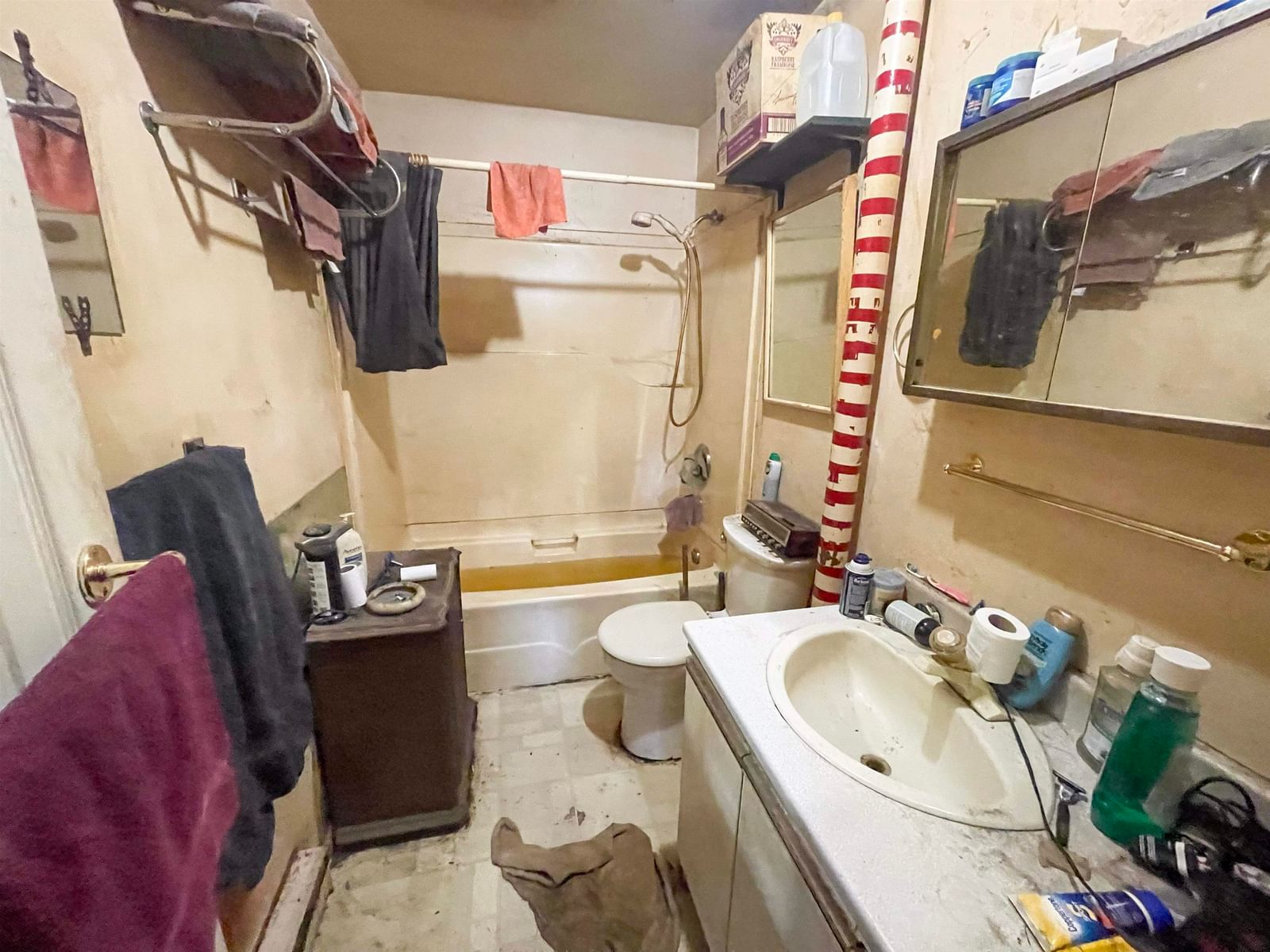 Listing Image 12