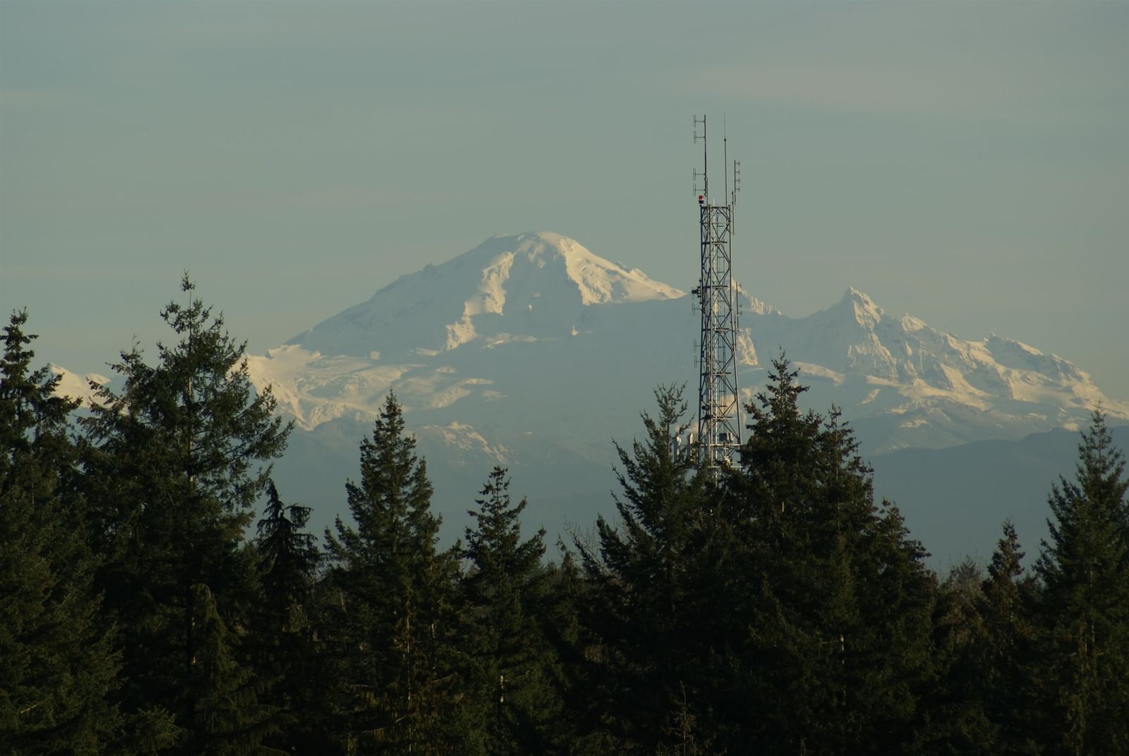 Listing Image 16