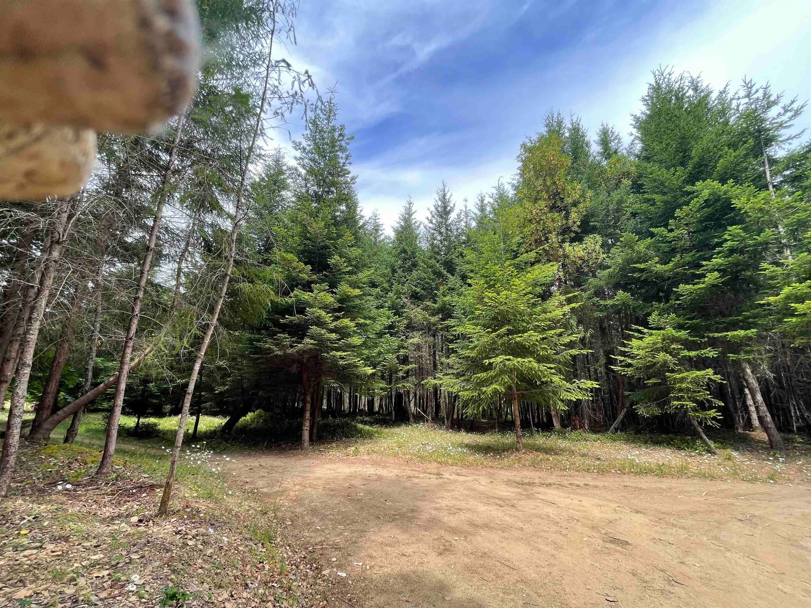 Listing Image 14