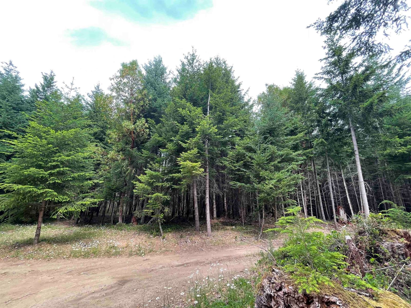 Listing Image 18