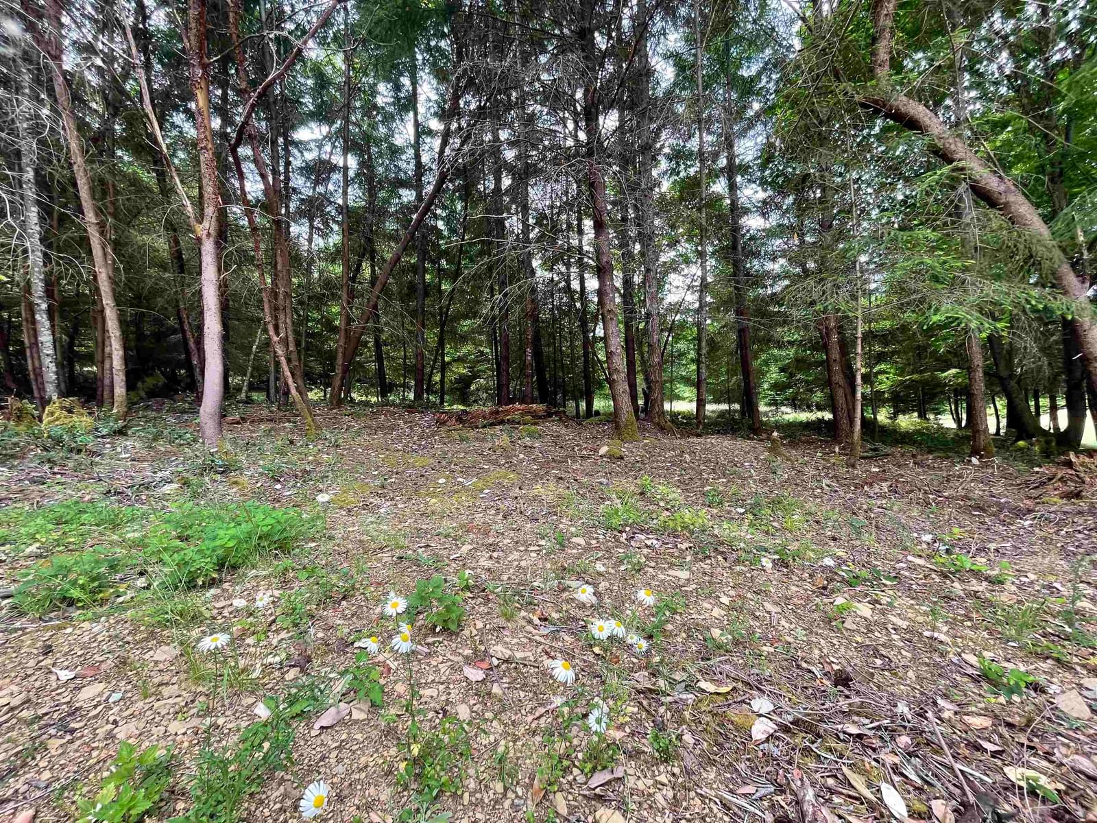 Listing Image 25