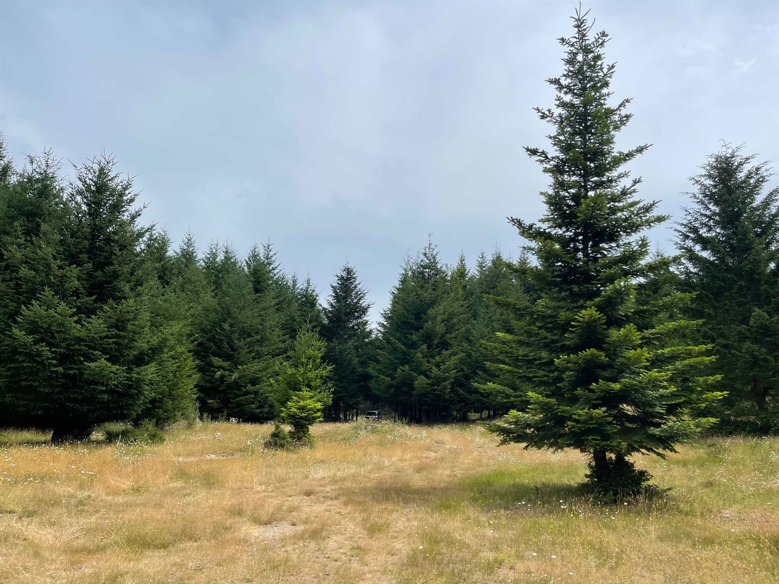 Listing Image 26