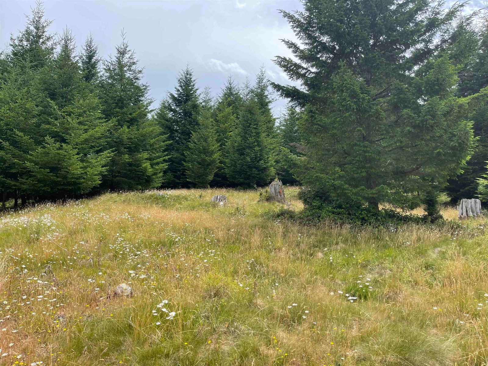 Listing Image 27