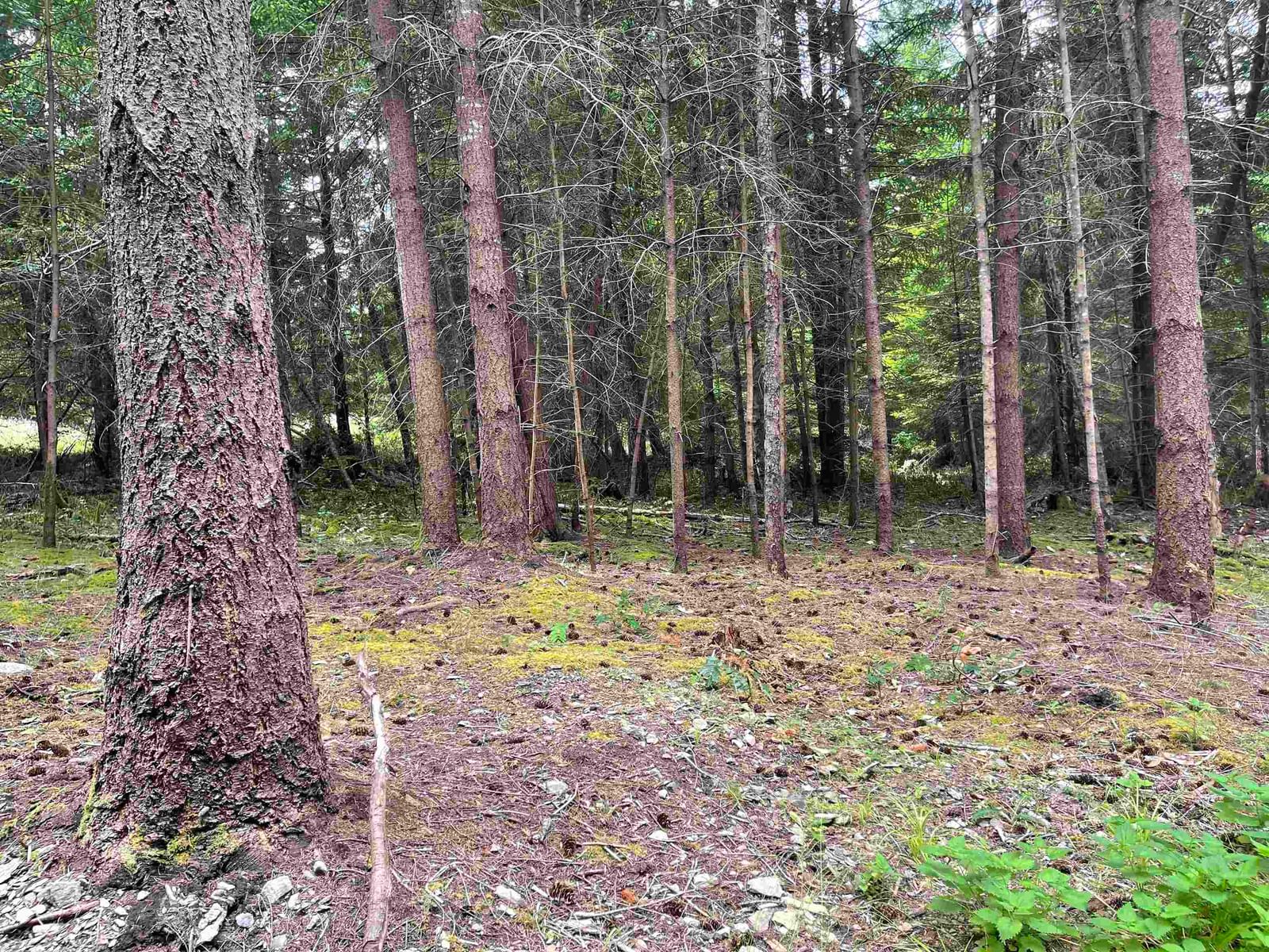 Listing Image 28