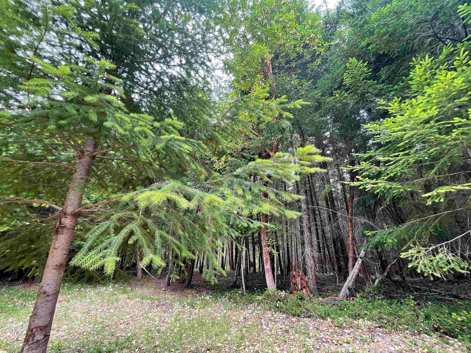 Listing Image 30