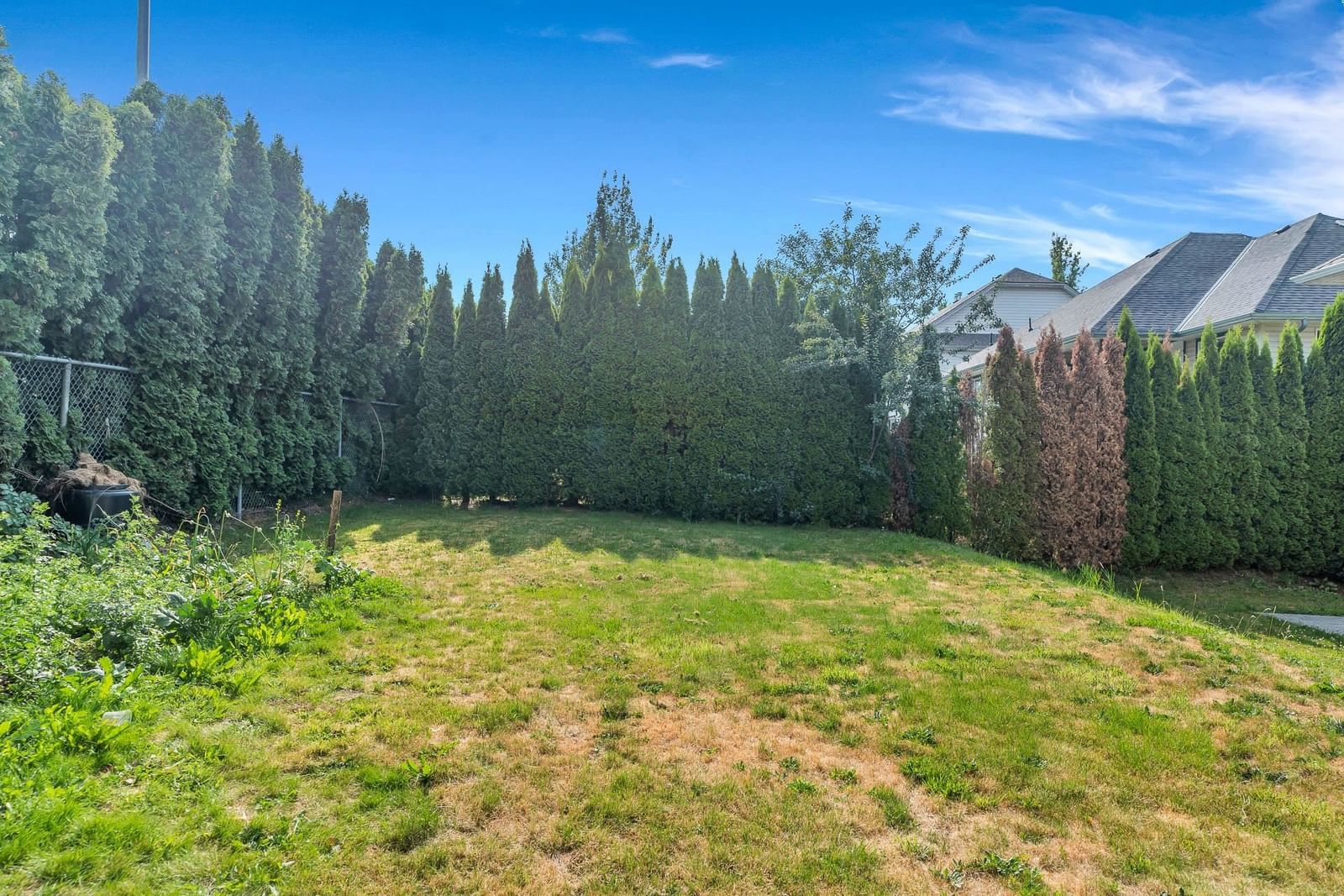Listing Image 39