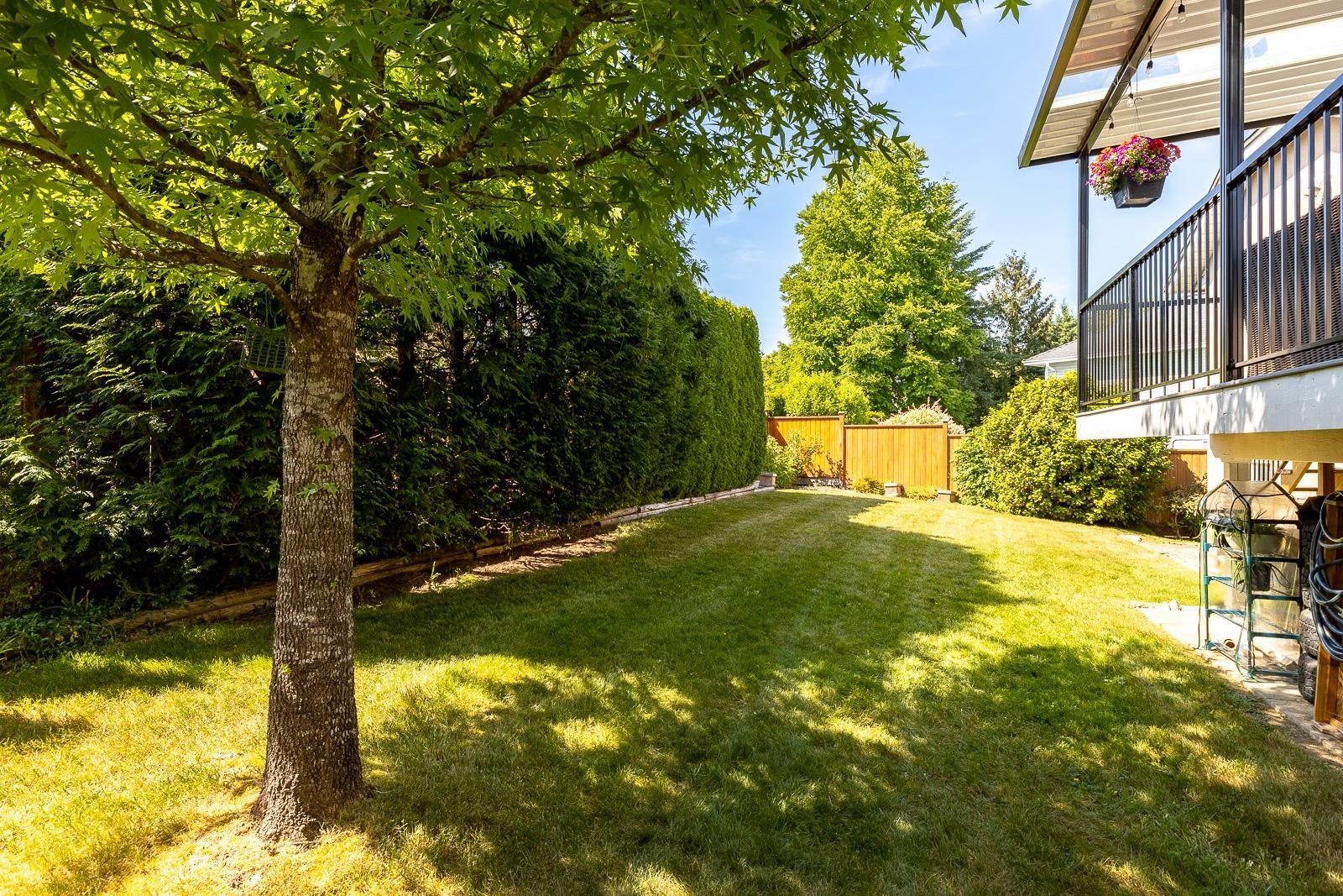 Listing Image 39