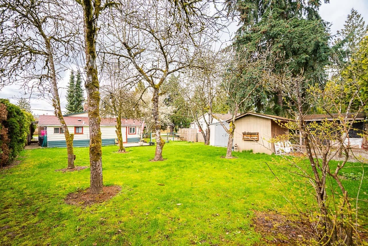 Listing Image 31